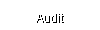 Audit